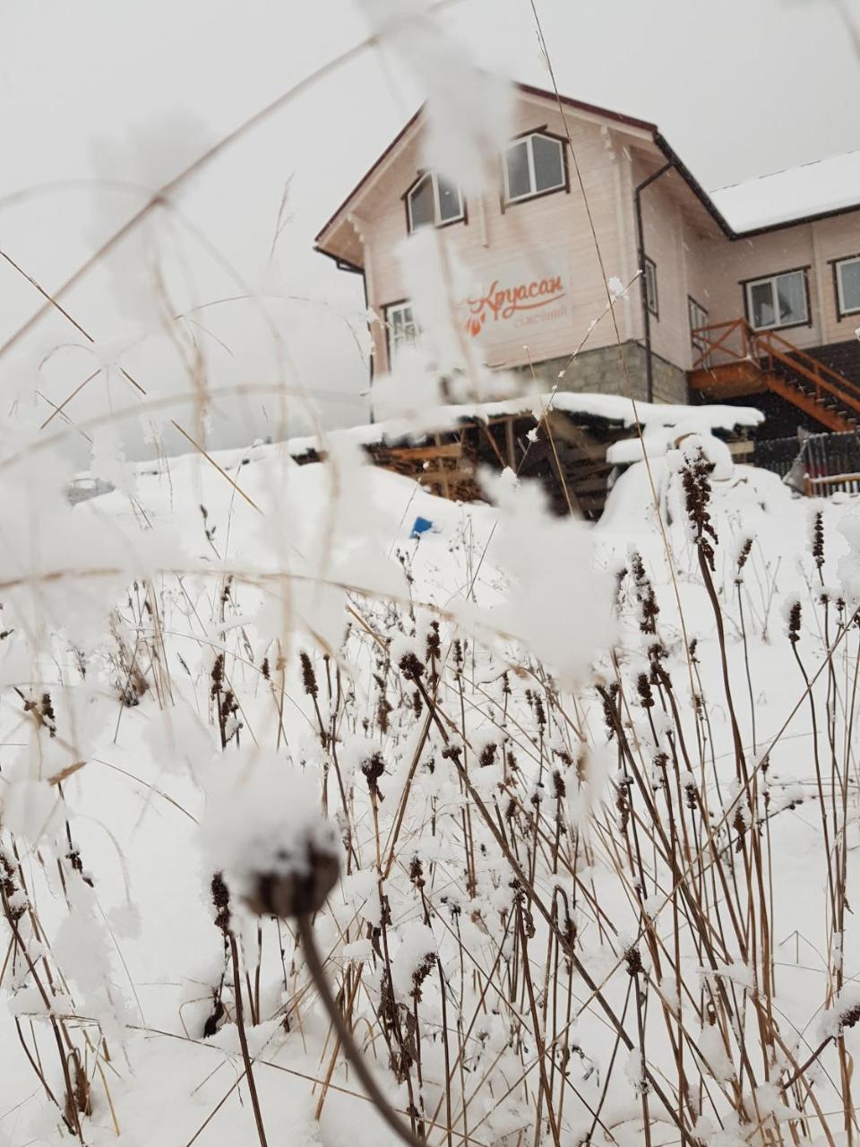 Гостьовий Дім Круасан Сімейний Bukovel Exterior photo